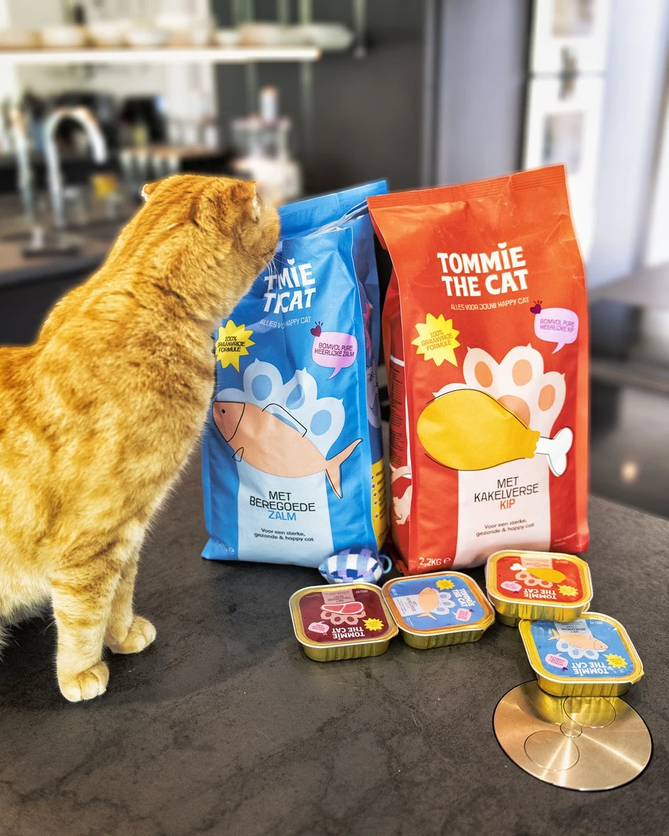 Tommie The Cat - 100% Graanvrije Brokken - Bomvol Verse Zalm - 2,2kg 2 Tommie The Cat - 100% Graanvrije Brokken - Bomvol Verse Zalm - 2,2kg - Afbeelding 2