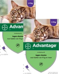 Bayer Advantage 80 Kat 4 Pip - Anti Vlooienmiddel - 2 X 0.8 Ml - > 4 Kg -Kattenbenodigdheden Winkel 965x1200