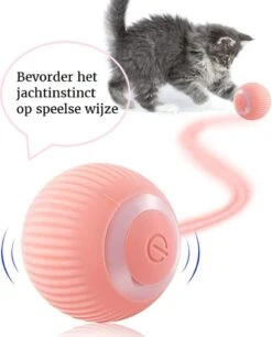 Otiume Slimme Katten Speeltje - Interactieve Zelf Rollende Bal Voor Katten - Kattenspeeltjes - USB Oplaadbaar- Turquoise -Kattenbenodigdheden Winkel 968x1200 1