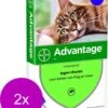 Bayer Advantage 80 Kat 4 Pip - Anti Vlooienmiddel - 2 X 0.8 Ml - > 4 Kg
