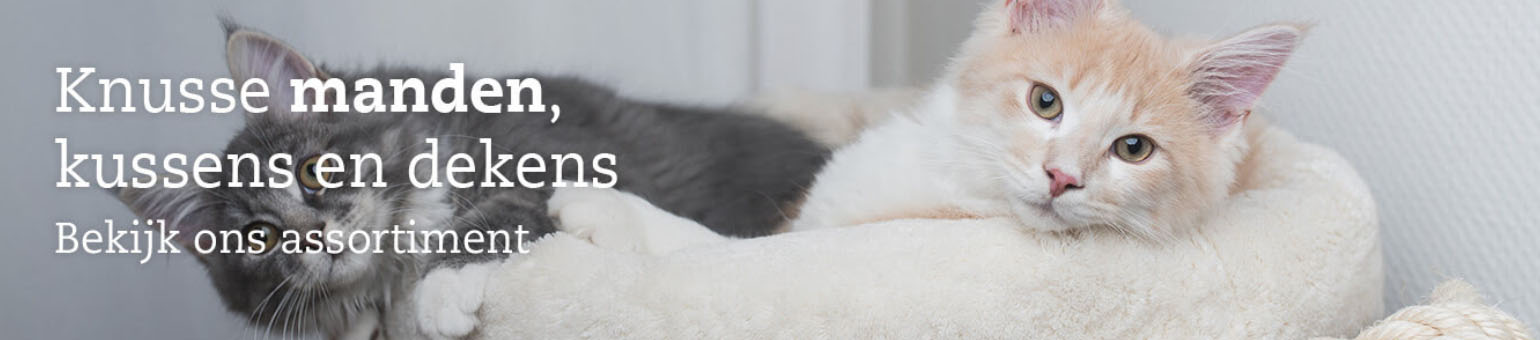 Kattenbenodigdheden Winkel -Kattenbenodigdheden Winkel yhukj